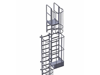 Cage Ladders